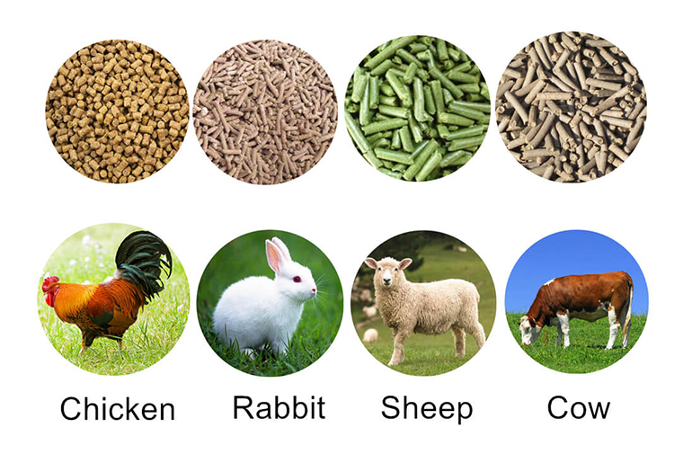 Livestock feed pellet