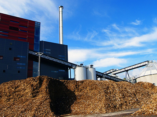 Biomass pellet line